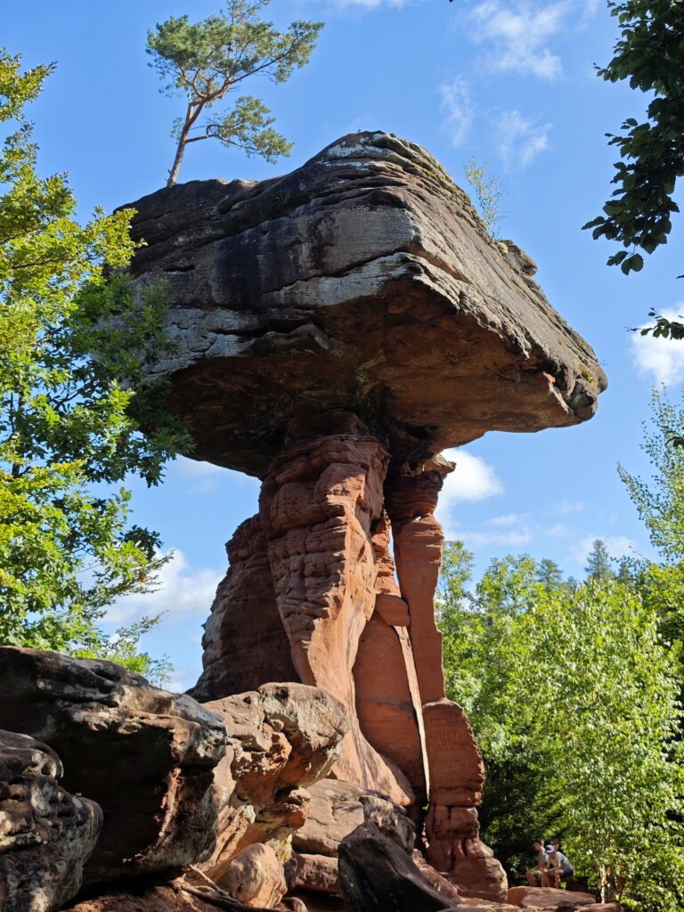 Teufelstisch Pfalz - ein riesiger Felsen, wenn du die Relation mit den Besuchern rechts auf der Bank siehst